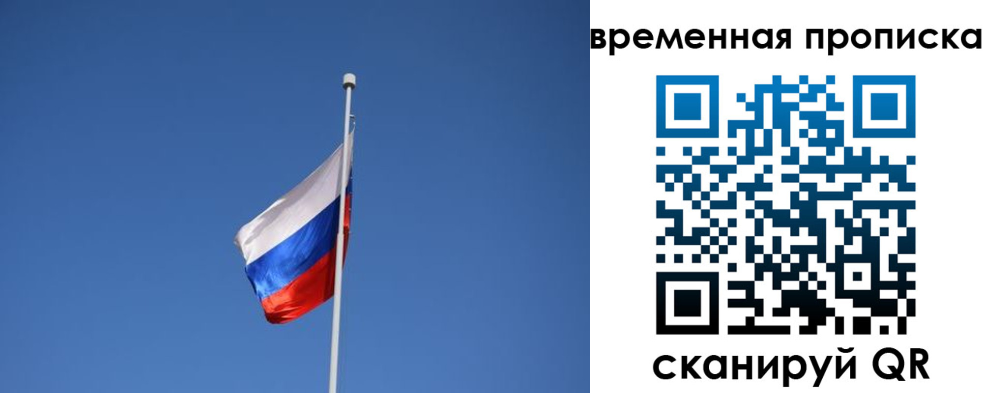 временная регистрация для всех в Волосово